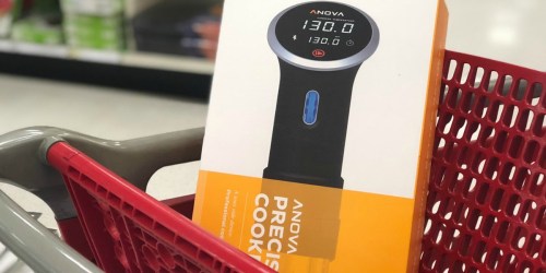 Anova Sous Vide Bluetooth Precision Cooker Only $89 Shipped (Regularly $149)