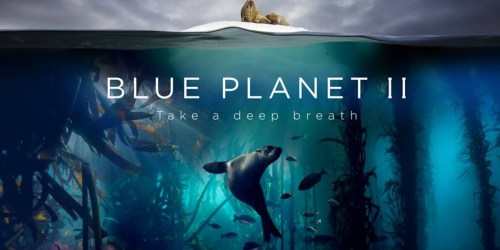Blue Planet II Digital HD Movie Download Just $9.99