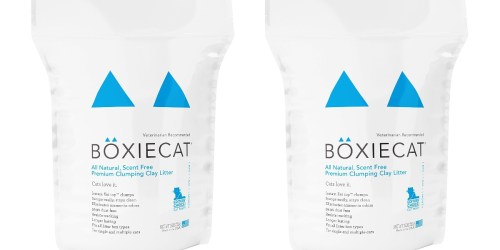 Amazon: Boxiecat Premium Cat Litter 16-Pound Bag Only $3.69 Shipped