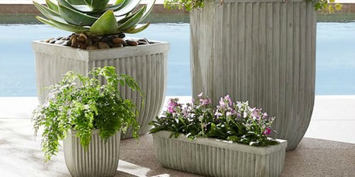Pottery Barn Concrete Planter Only $10.99 Shipped (Regularly $30) + More