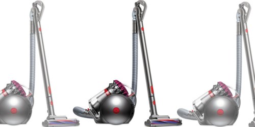 Dyson Big Ball Pro Canister Vacuum Only $229.99 Shipped (Regularly $430)