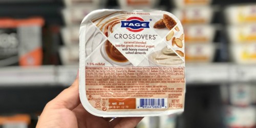 Fage Yogurt Only 32¢ Each After Cash Back at Target (Starting July 8th)