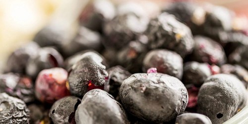 Augason Farms Freeze Dried Whole Blueberries Only $18.38 (Shelf Stable for 30 Years)