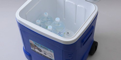Igloo 60-Quart Roller Cooler Only $26.88 Shipped on Amazon