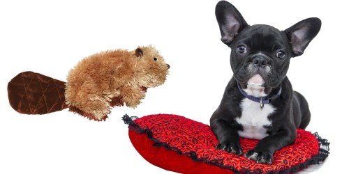 KONG Large Beaver Dog Toy Only $2 (Regularly $10) – Ships w/ $25 Amazon Order