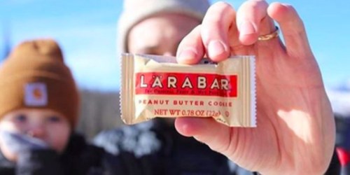Amazon: Lärabar Gluten-Free Mini Bars 30-Count Variety Pack Only $11.63 Shipped (Just 39¢ Per Bar)