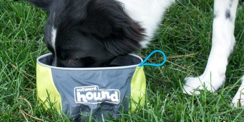Outward Hound Port-A-Bowl Collapsible Dog Food & Water Bowl Only $3.49 (Regularly $7)