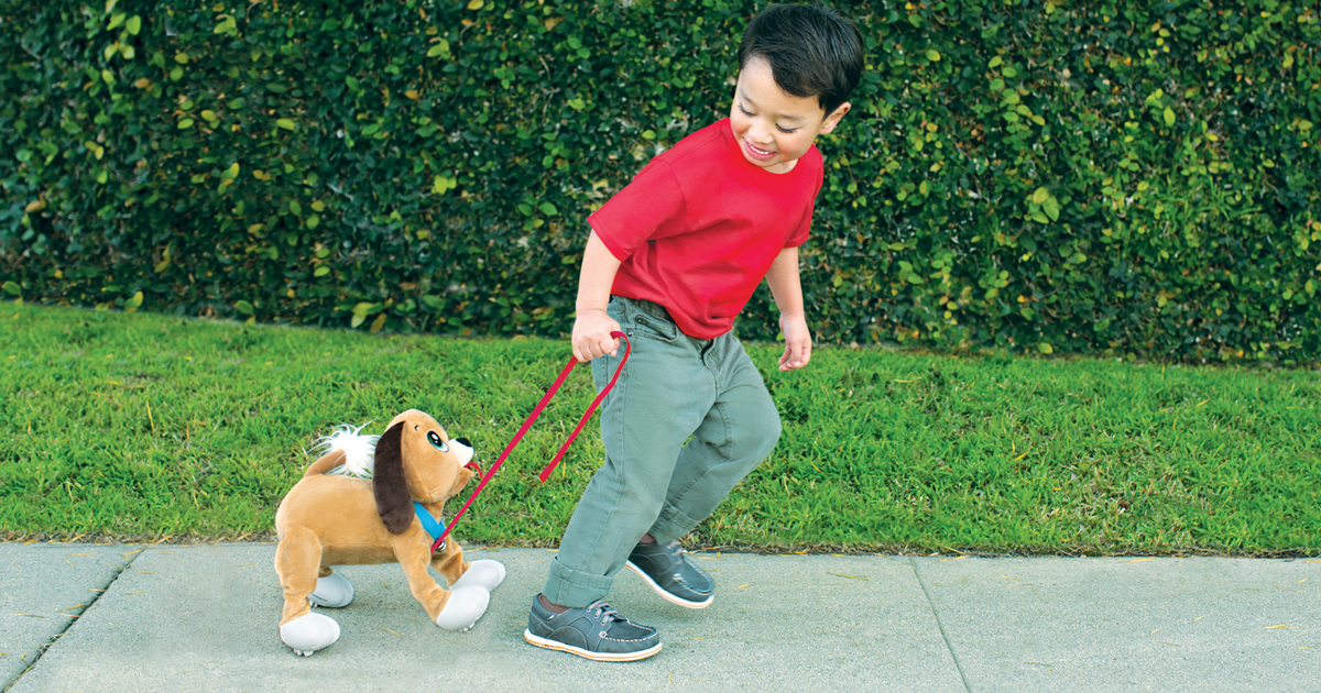 walking puppy toy on a leash walmart