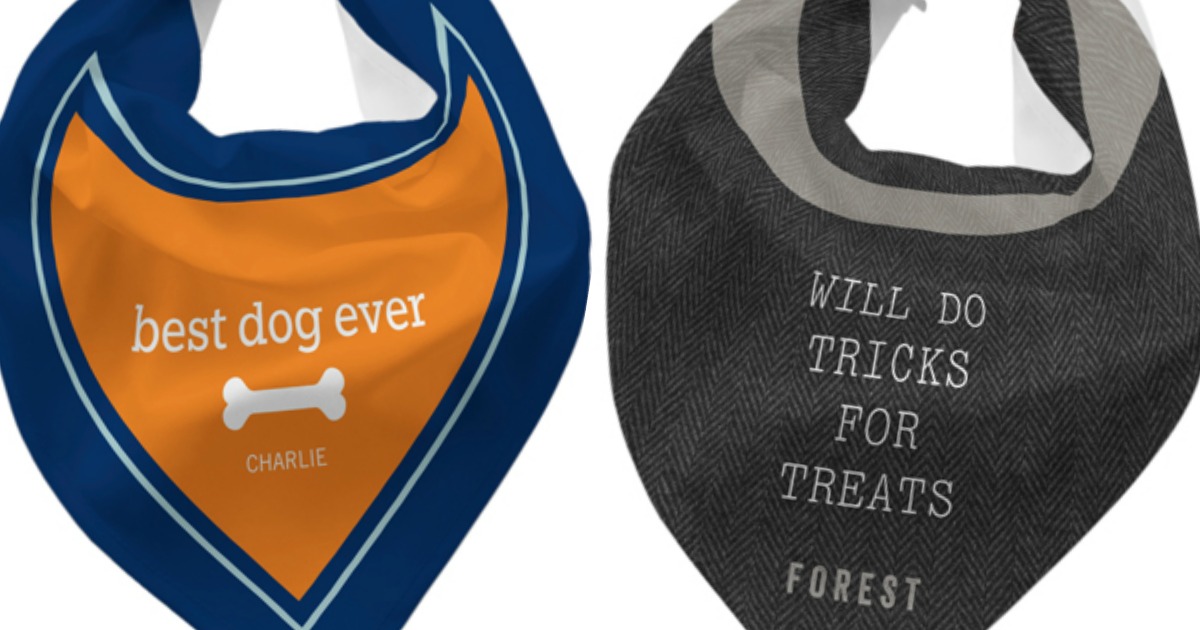 pet bandana shutterfly