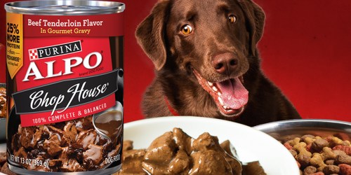 Amazon: Purina ALPO Gourmet Wet Dog Food 12-Pack Only $4.13 (Ships w/ $25 Order)