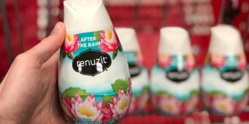 Renuzit Adjustable Air Freshener Gels 6-Count Only $3.72 Shipped (Just 62¢ Each) + More