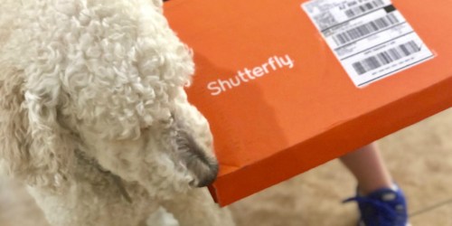 FOUR Free Personalized Freebies From Shutterfly (Just Pay Shipping)