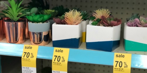 Possibly Score 70% Off Clearance Garden Decor at Walgreens