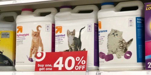 Buy One Cat Litter, Get One 40% Off at Target (In-Store & Online)