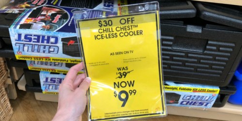 As Seen on TV Chill Chest Ice-Less Cooler Only $7.99 at Bed Bath & Beyond