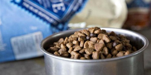 Amazon Prime: HUGE 22lb Blue Buffalo Wilderness Dry Dog Food Only $20 Shipped
