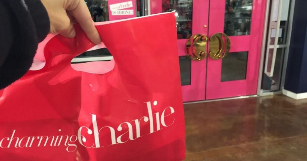 charming charlie bag