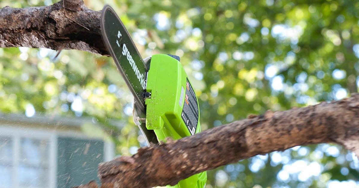 Amazon Greenworks Cordless Pole Saw w/ Battery Only 88.94 Shipped