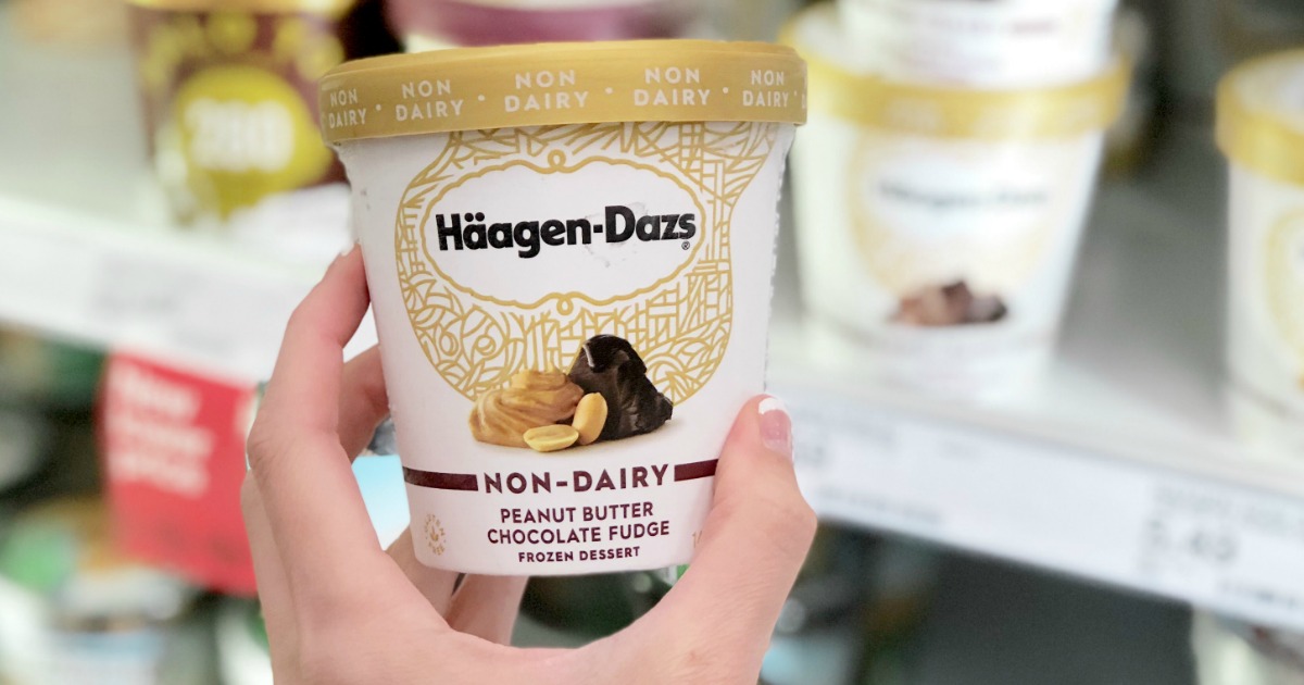 HäagenDazs NonDairy Ice Cream as Low as 2.55 Each at Target