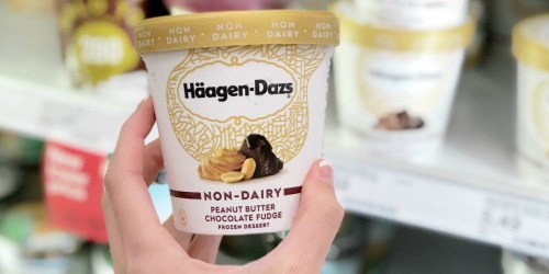 Häagen-Dazs Non-Dairy Ice Cream as Low as $2.55 Each at Target