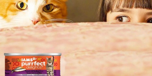 Amazon: Iams Purrfect Delights Wet Cat Food 18-Count Variety Pack Only $7.42 Shipped