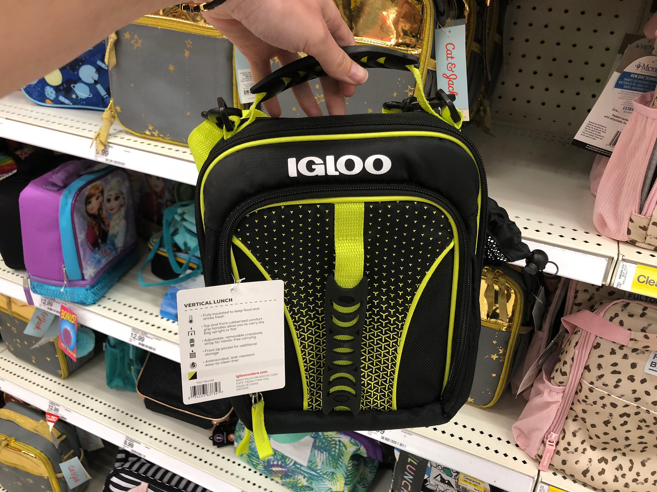 igloo vertical lunch box