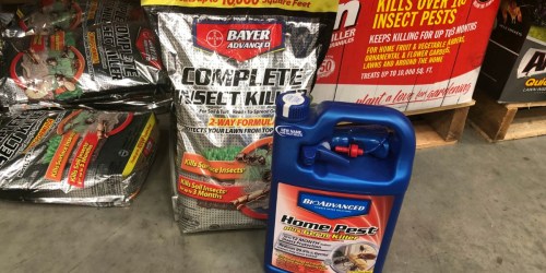 Free Home Pest Germ Killer w/ Bayer Advanced Insect Killer Purchase at Lowe’s ($10 Value)
