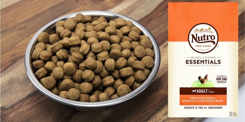 Amazon: Nutro Wholesome Essentials Adult Dry Dog Food 30lb Bag Only $34.94 Shipped