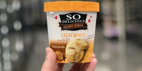 So Delicious Dairy Free Frozen Desserts Only $2.50 at Target