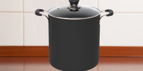 Amazon: T-Fal Specialty 12-Quart Stockpot Only $16.46