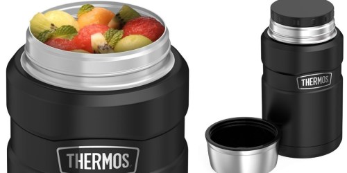 Thermos Stainless 24-Ounce Food Jar Only $18.74 (Regularly $25)