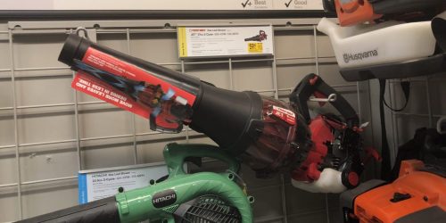 50% Off Select Leaf Blowers at Lowe’s