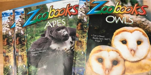 Up to 75% off Zoobooks & Zoobies Magazine Subscriptions