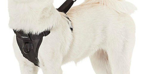 AmazonBasics X-Large Dog Harness Only $5.74 (Ships w/ $25 Amazon Order)
