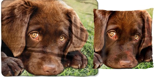 Dog Pillow & Throw Blanket Set Only $6.39 + More at Walmart.com