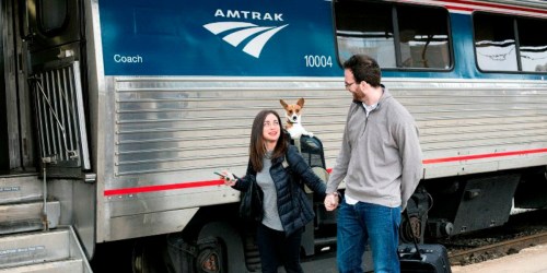 Buy One Amtrak Ticket, Get One FREE When You Share a Roomette (No Blackouts)