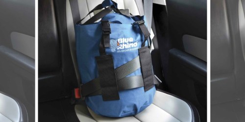 Blue Rhino Take-a-Tank Carrier Only $4.99 at Lowe’s (Regularly $10)