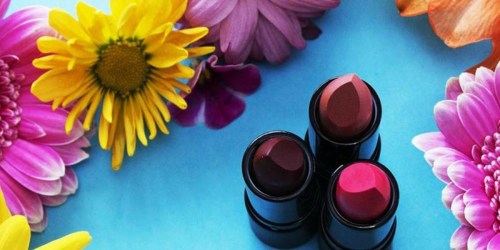 Free Envii Beauty Organic Lipstick Sample