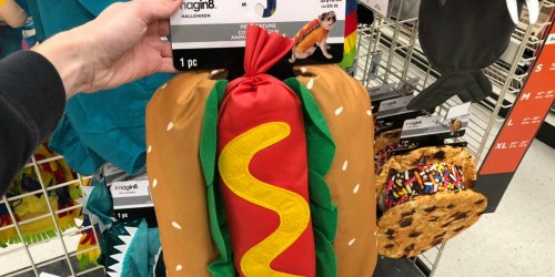 Pet Costumes Only $10.80 on Michaels.com