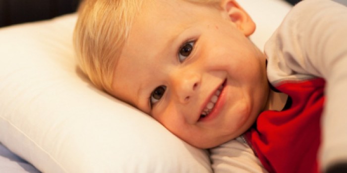 Amazon: Little Sleepy Head Toddler Pillow Just $14 (Regularly $30) – Awesome Reviews