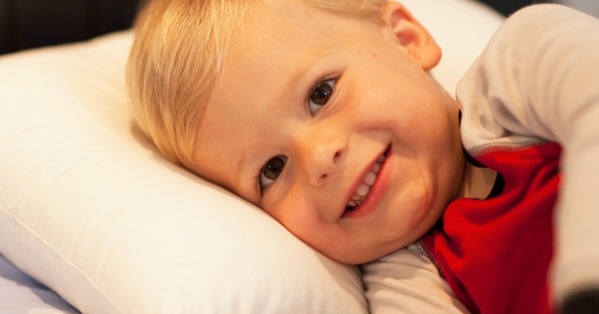 Amazon Little Sleepy Head Toddler Pillow Just 14 (Regularly 30