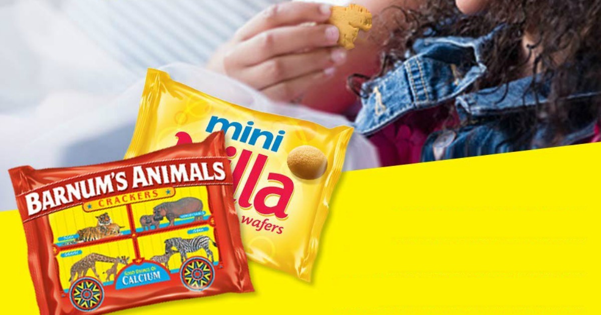 Amazon Nabisco Fun Shapes Cookie & Cracker Mix 20 Count Bags Only 6.