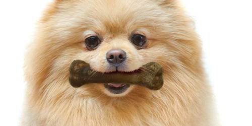 Amazon: Nylabone Dog Treats Only $4.92 Shipped