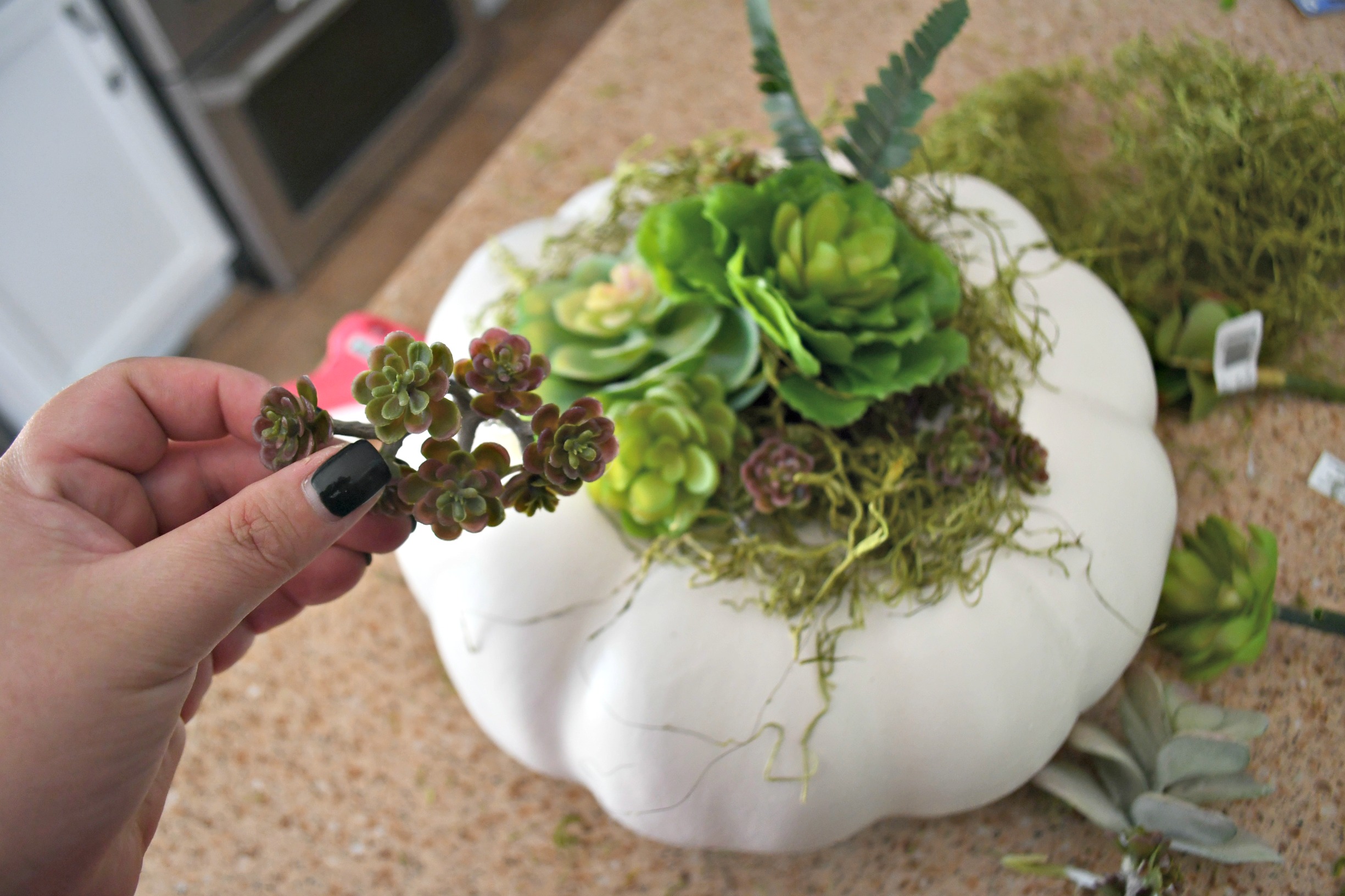 style your fall table with this DIY succulent centerpiece idea - here, tucking in more succulents