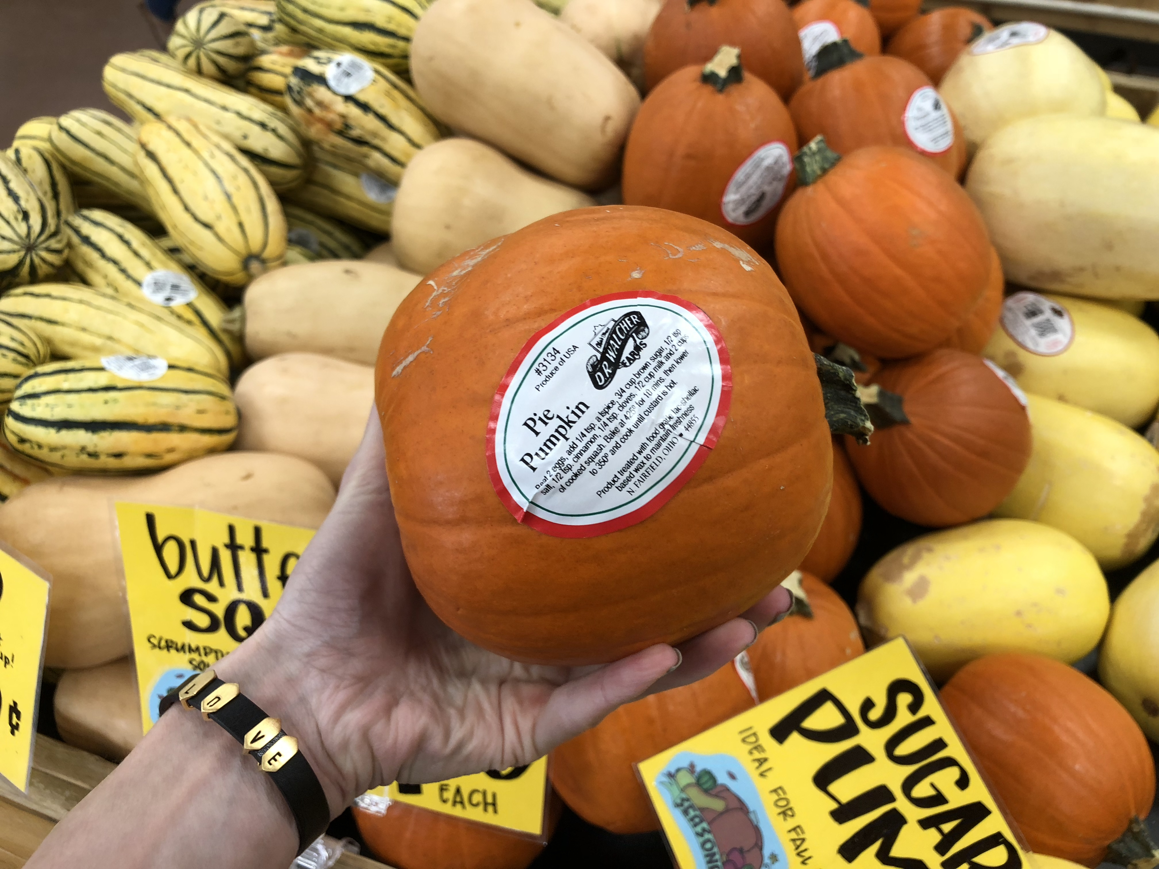 Deals on Trader Joe's Pumpkin items – Pie Pumpkins at Trader Joe's