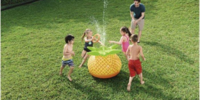 Buy 1 Get 2 Free Summer Items at DollarGeneral.com (Save on Water Toys, Pools & More)