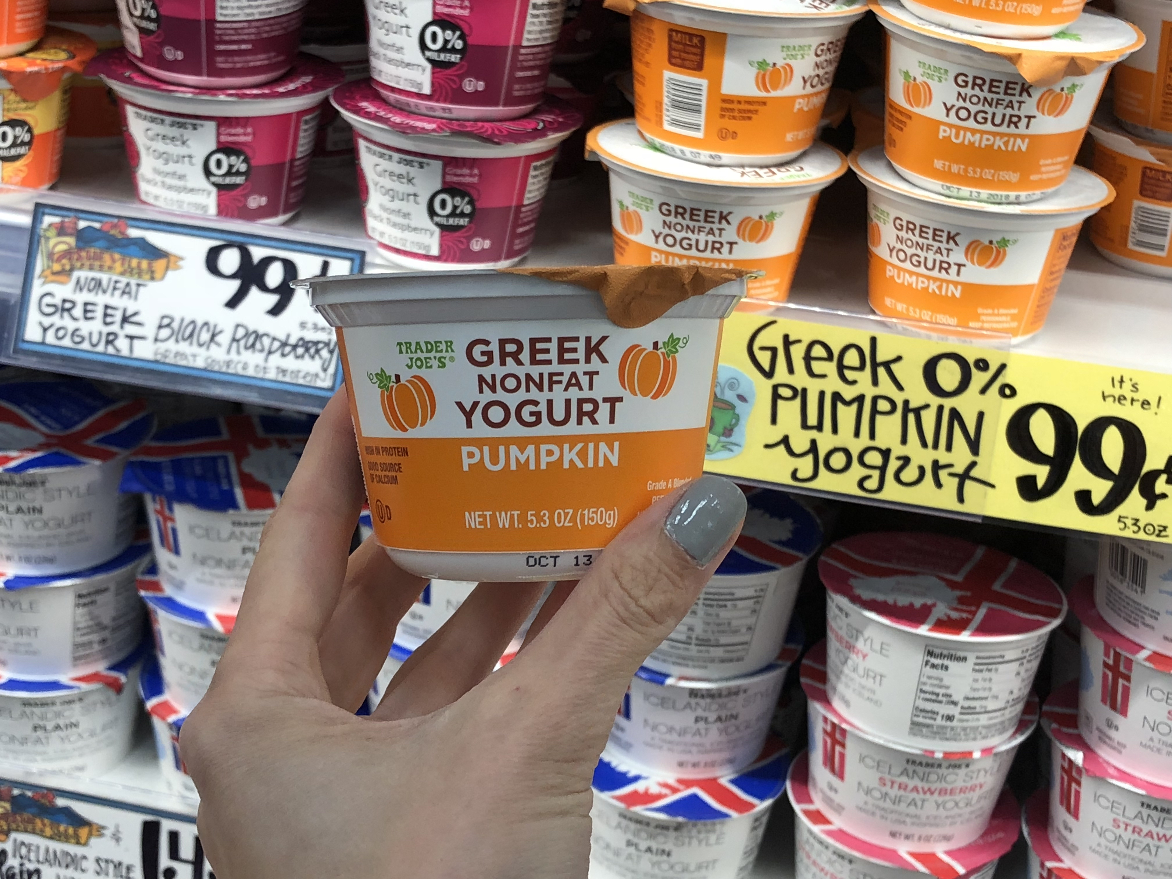Deals on Trader Joe's Pumpkin items – Pumpkin Greek yogurt Trader Joe's