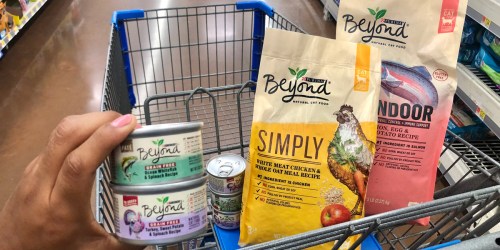 High Value $2/1 Purina Beyond Dry Cat Food Coupon + More = Nice Savings at Walmart