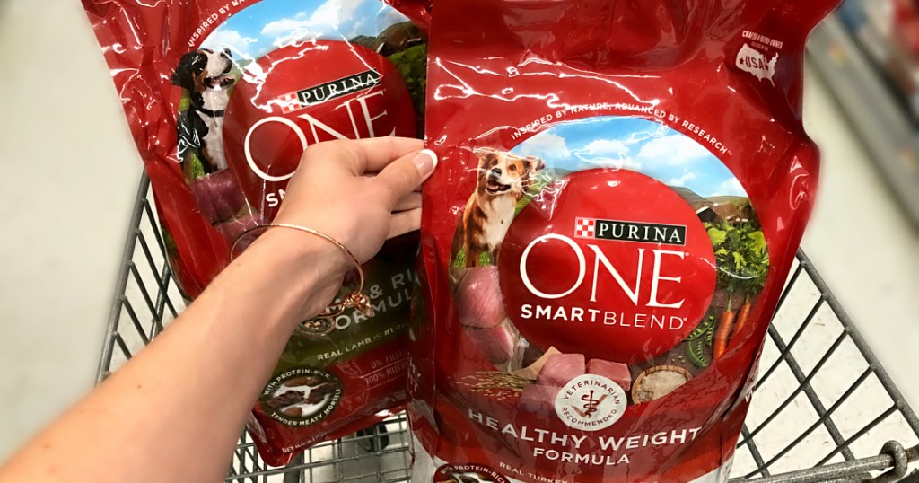 Purina ONE Smartblend Dog food at Walmart