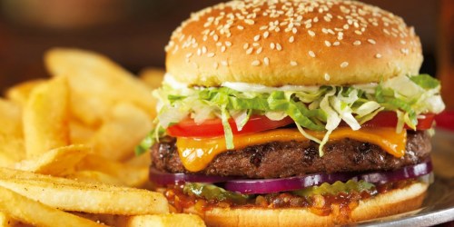 Red Robin Cheeseburger and Bottomless Fries Only $5 (September 18th Only)
